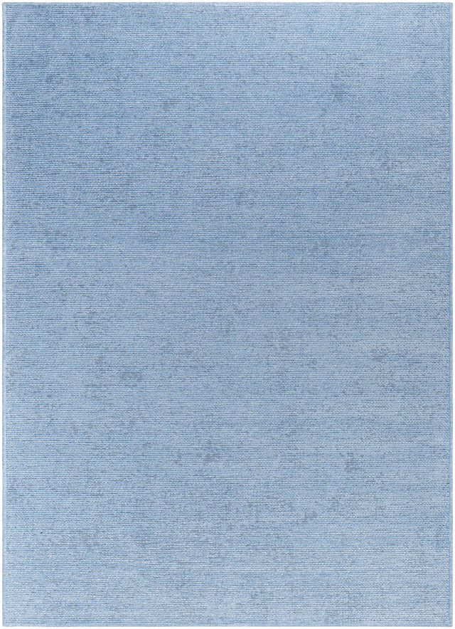 Isako Blue Solid Washable Area Rug - Clearance - Ornate Home
