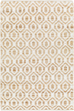 Isaye Beige Area Rug - Clearance - Ornate Home