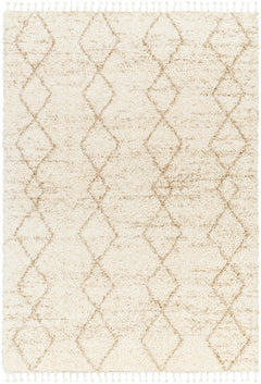Ishan Cream Area Rug - Clearance - Ornate Home
