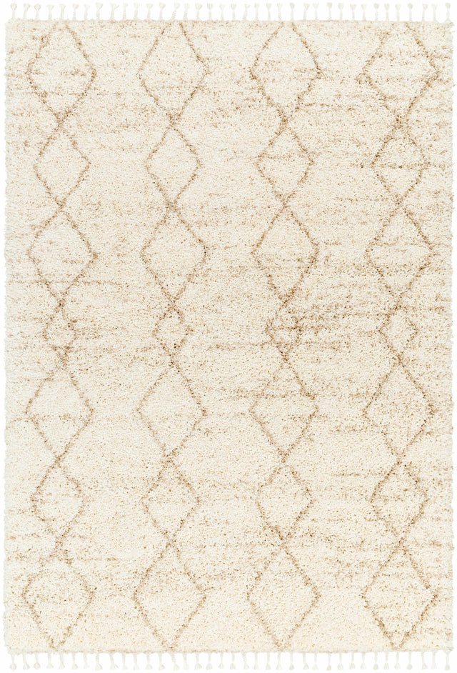 Ishan Cream Area Rug - Clearance - Ornate Home