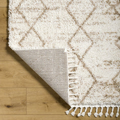 Ishan Cream Area Rug - Clearance - Ornate Home