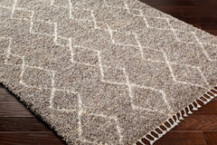 Ishan Taupe Area Rug - Clearance - Ornate Home