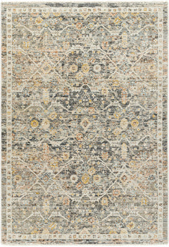 Issay Area Rug - Clearance - Ornate Home