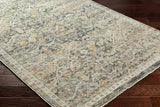 Issay Area Rug - Clearance - Ornate Home