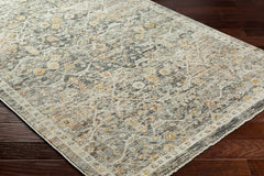 Issay Area Rug - Clearance - Ornate Home