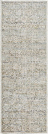 Itzel Area Rug - Clearance - Ornate Home