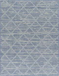 Ivora Blue Outdoor Area Rug - Clearance - Ornate Home