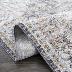Ivria Navy & Rust Area Rug - Ornate Home