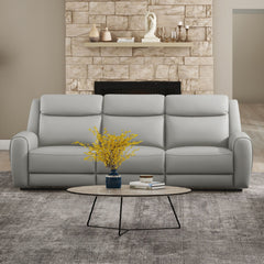 Jacobus Light Gray Leather Sofa & Loveseat - Ornate Home