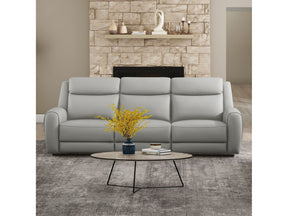 Jacobus Light Gray Leather Sofa - Ornate Home