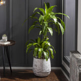 Janamuato White Geometric Cement Outdoor Planter - Ornate Home