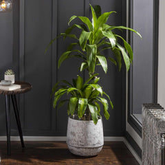 Janamuato White Geometric Cement Outdoor Planter - Ornate Home