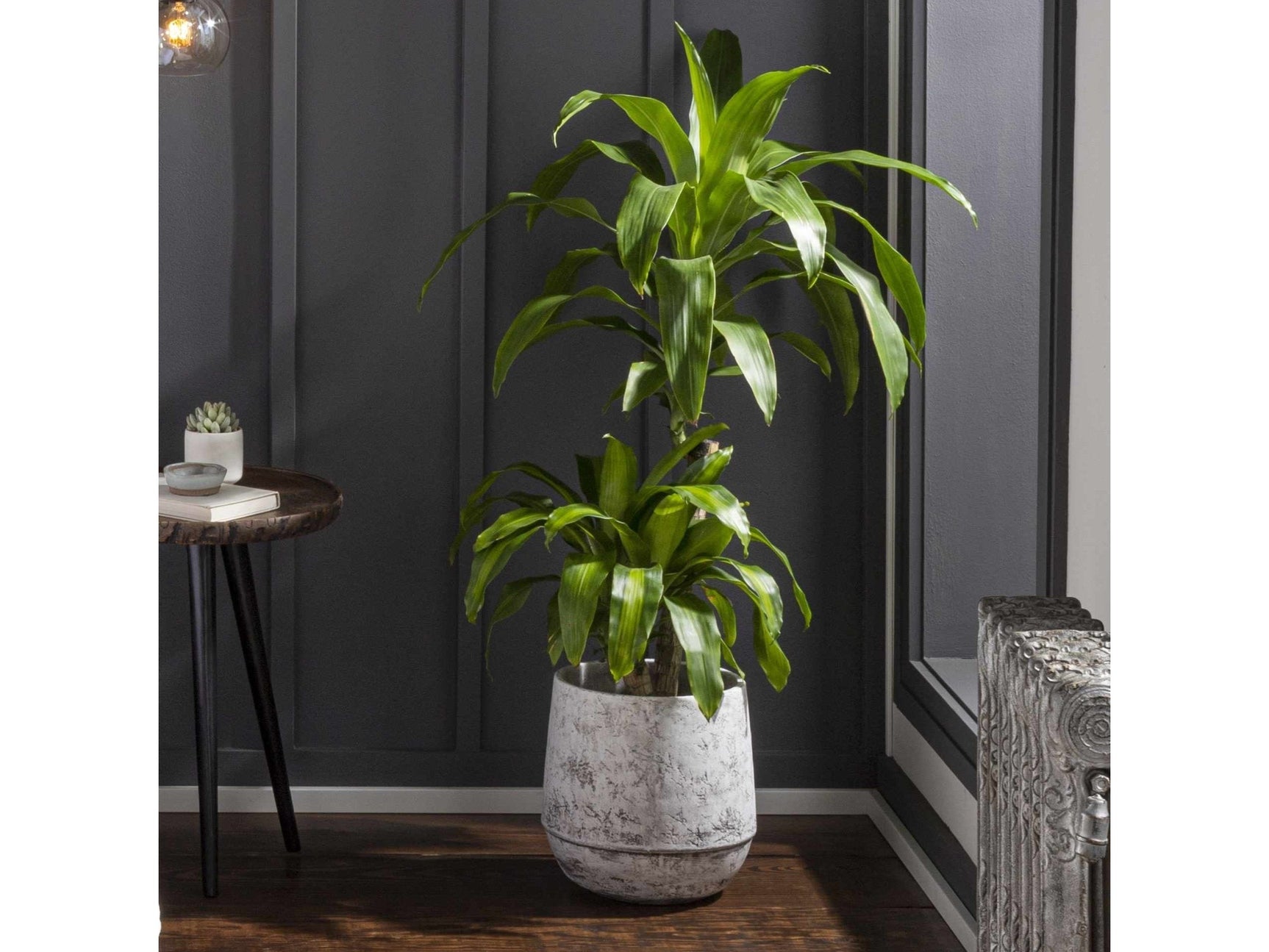 Janamuato White Geometric Cement Planter - Ornate Home