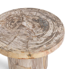 Janelle Sepia Vein Accent Table - Ornate Home