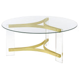 Janessa Matte Brass 2-piece Acrylic Coffee and End Table Set - Ornate Home