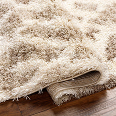 Jase Shag Area Rug - Ornate Home