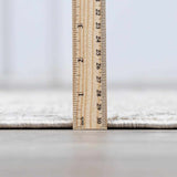 Jenis Gray Luxe Rug - Ornate Home