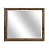 Jerrick Burnished Brown Mirror - Ornate Home