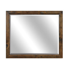Jerrick Burnished Brown Mirror - Ornate Home