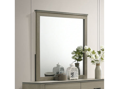 Joanna Weathered Gray Mirror - Ornate Home