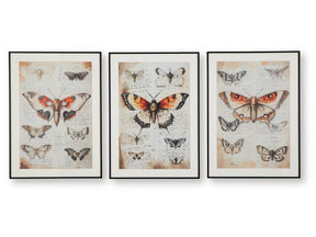 Jossletts Orange/Black/Ivory Wall Art Set (Set of 3) (Online Special Price) - Ornate Home
