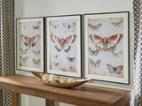 Jossletts Orange/Black/Ivory Wall Art Set (Set of 3) (Online Special Price) - Ornate Home