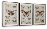 Jossletts Orange/Black/Ivory Wall Art Set (Set of 3) (Online Special Price) - Ornate Home