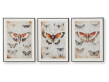 Jossletts Orange/Black/Ivory Wall Art Set (Set of 3) - Ornate Home