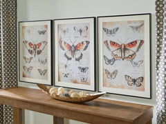 Jossletts Orange/Black/Ivory Wall Art Set (Set of 3) - Ornate Home
