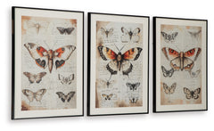 Jossletts Orange/Black/Ivory Wall Art Set (Set of 3) - Ornate Home