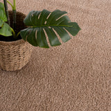 Judy Brown - Promo Washable Area Rug - Clearance - Ornate Home