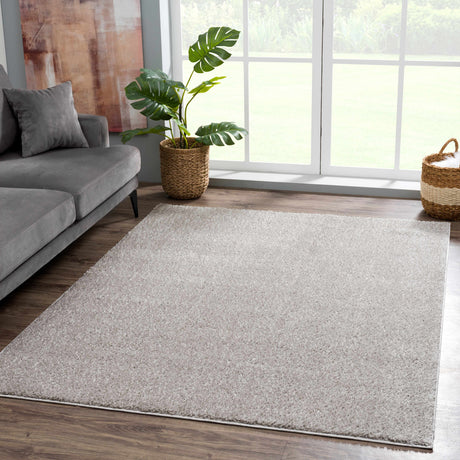 Judy Light Gray Washable Area Rug - Ornate Home