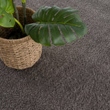 Judy Solid Dark Gray Washable Shag Rug - Clearance - Ornate Home