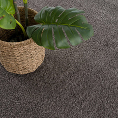 Judy Solid Dark Gray Washable Shag Rug - Clearance - Ornate Home