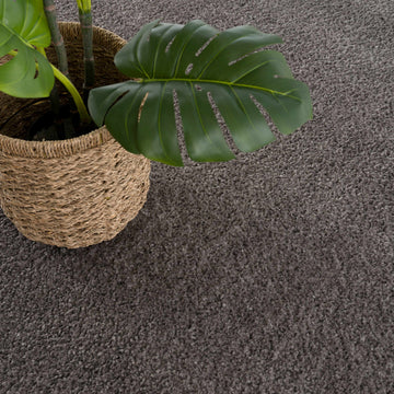 Judy Solid Dark Gray Washable Shag Rug - Clearance - Ornate Home