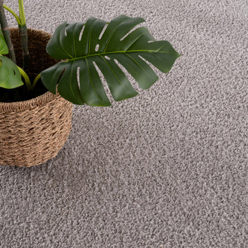 Judy Solid Gray Washable Shag Rug - Clearance - Ornate Home