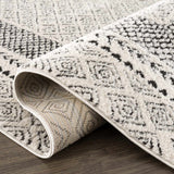 Julio Area Rug - Ornate Home