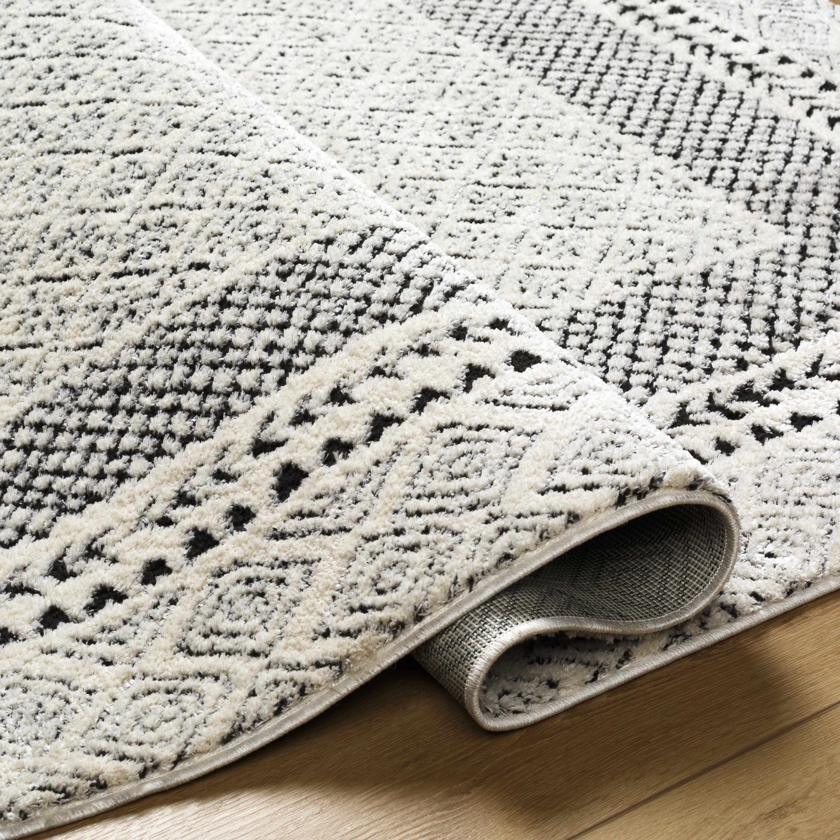 Julio Area Rug - Ornate Home