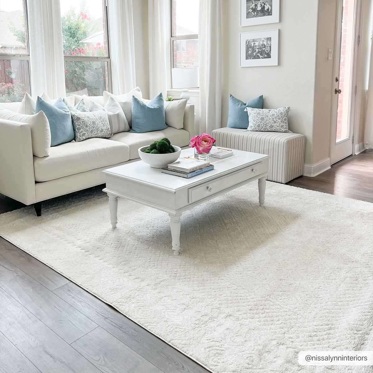 Julio Ivory Area Rug - Ornate Home
