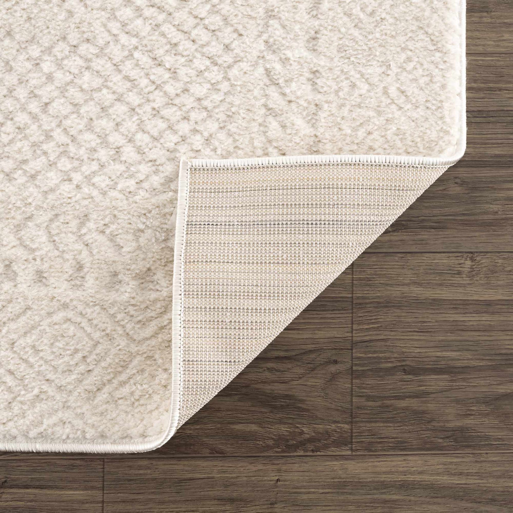 Julio Ivory Area Rug - Ornate Home