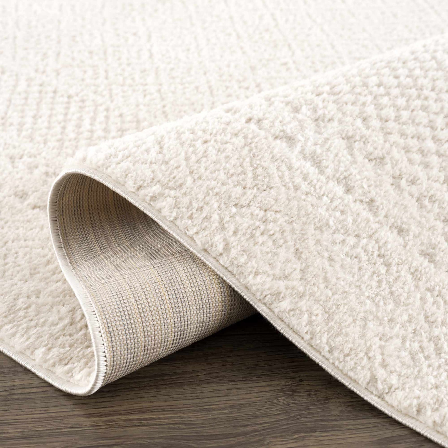 Julio Ivory Area Rug - Ornate Home