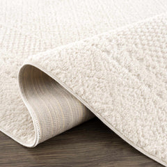 Julio Ivory Area Rug - Ornate Home