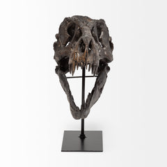 Jurassic Brown Resin Tyrannosaurus Skull Replica - Ornate Home