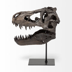Jurassic Brown Resin Tyrannosaurus Skull Replica - Ornate Home