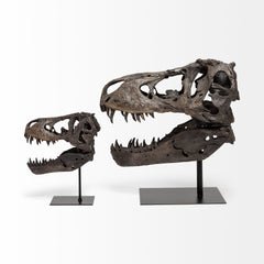 Jurassic Brown Resin Tyrannosaurus Skull Replica - Ornate Home