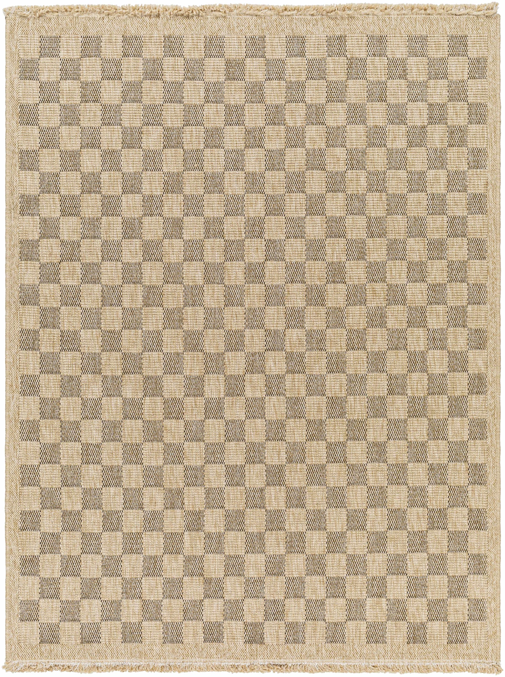 Jurek Beige & Brown Checkered Outdoor Area Rug - Ornate Home