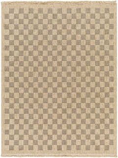 Jurek Beige & Brown Checkered Outdoor Area Rug - Ornate Home