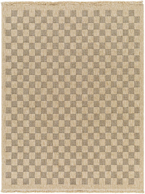 Jurek Beige & Brown Checkered Outdoor Area Rug - Ornate Home