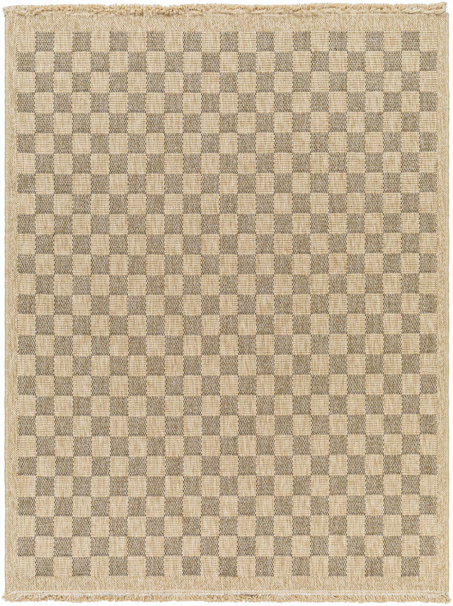 Jurek Beige & Brown Checkered Outdoor Area Rug - Ornate Home