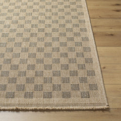 Jurek Beige & Brown Checkered Outdoor Area Rug - Ornate Home
